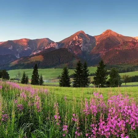 Olivia 42 Vysoké Tatry